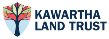 KLT