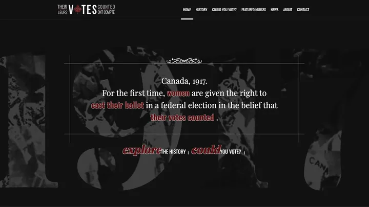 Their Votes Counted website